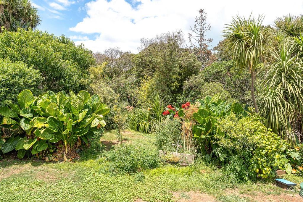 Oneroa Bay Villa Waiheke Exteriör bild