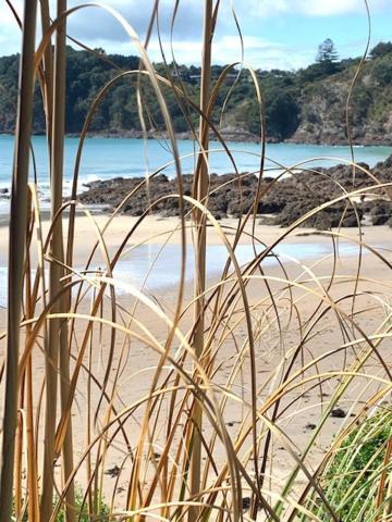 Oneroa Bay Villa Waiheke Exteriör bild